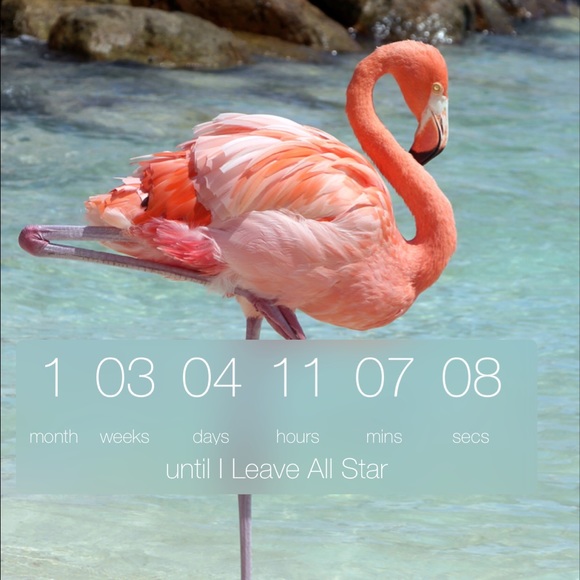 Meet your Posher, Linda - Picture 1 of 1