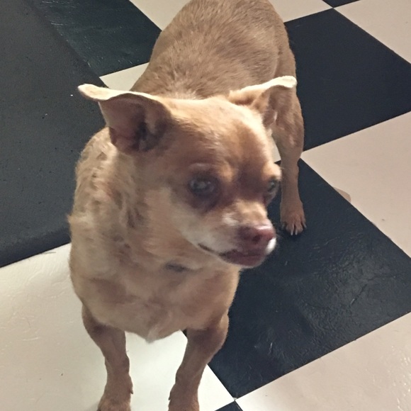 Meet your Posher, Jodi - Picture 1 of 1