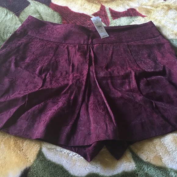 Loft shorts