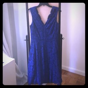 Vera Wang Cobalt Lace Cocktail Dress