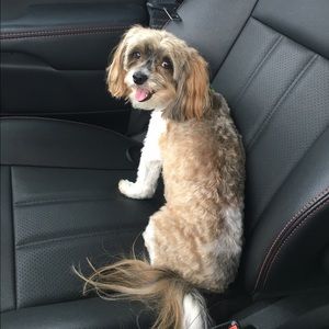 Meet your Posher, Melissa