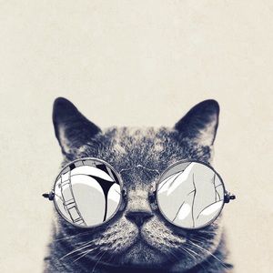 Meet your Posher, Ellie