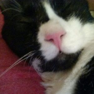 Meet your Posher, Lynn