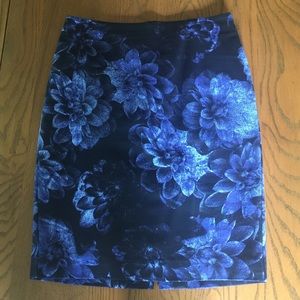 Ann Taylor skirt!