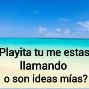 Meet your Posher, Martha