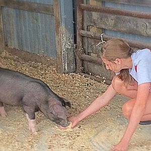 Meet your Posher, Alex