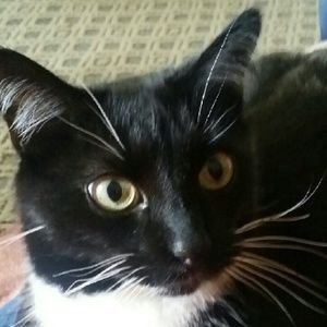 Meet your Posher, Lisa