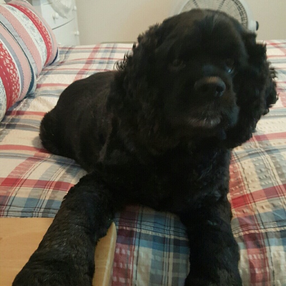 Hi fellow Poshers 💗 My name is Michelle 💗 - Picture 2 of 4