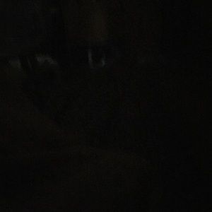 Meet your Posher, Isaura