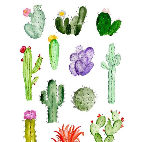 Meet your Posher, Rachel - Picture 1 of 1