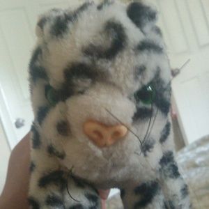 Meet your Posher, Sam