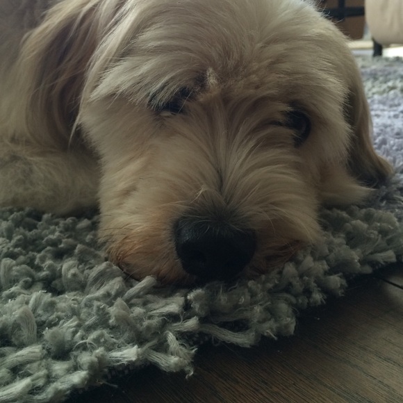 Meet your Posher, Wakana