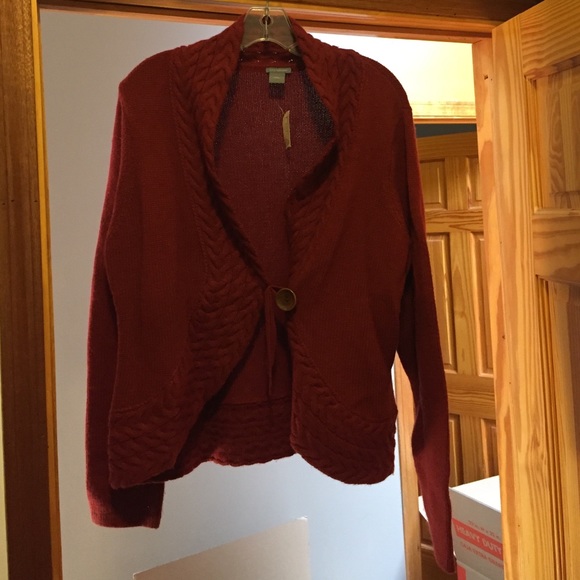 Brand new Ann Taylor Sweater