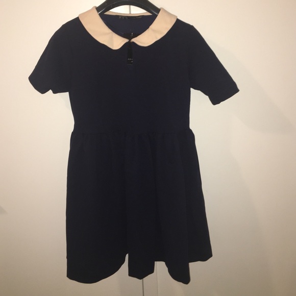 Brand New Zara Basic Navy Dress