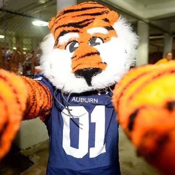 Meet your Posher, Chad