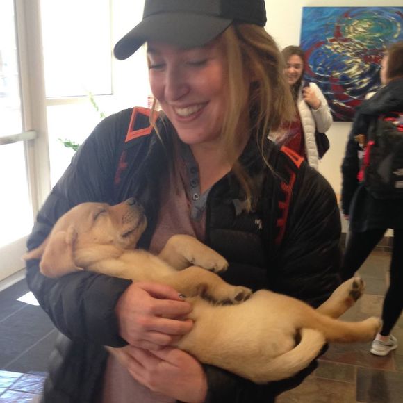 Meet your Posher, Ariel