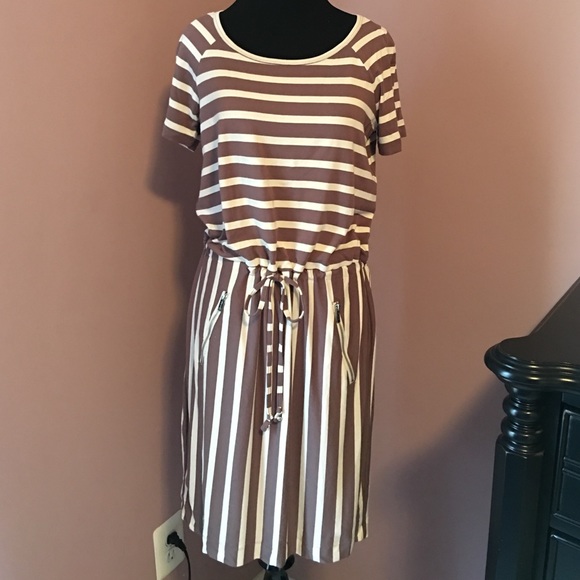 Calvin Klein Dress. Size 6