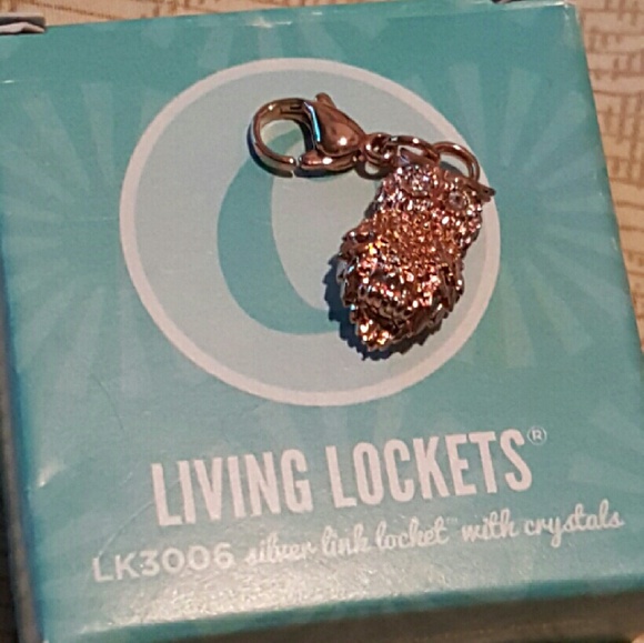 New Origami Owl dangler - Picture 1 of 2