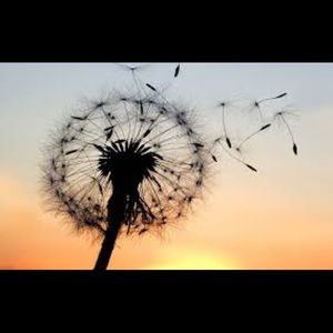 Meet your Posher, Christy