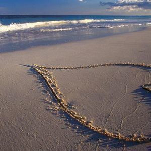 Meet your Posher, Violeta