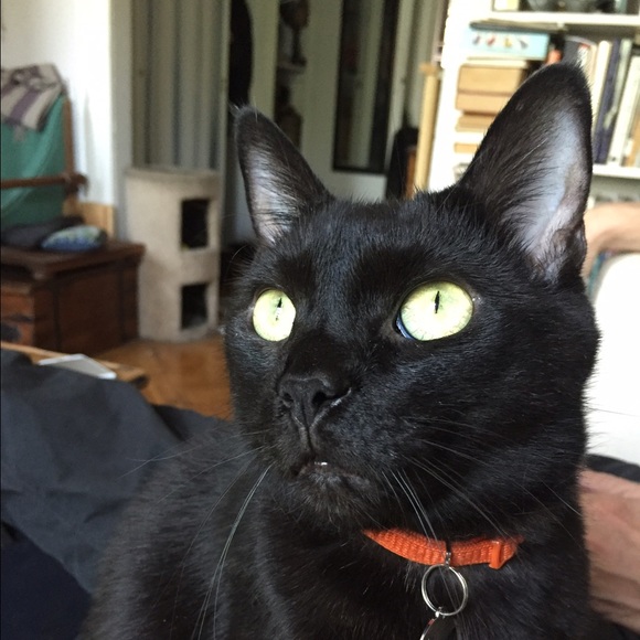 Meet your Posh Stylists - Picture 2 of 4