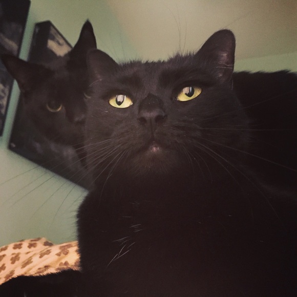 Meet your Posh Stylists - Picture 4 of 4