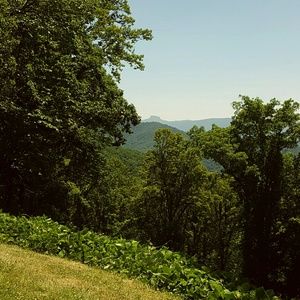 Meet your Posher, Kaylee