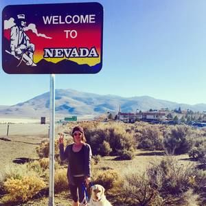 Meet your Posher, Joey