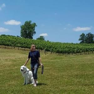 Meet your Posher, Dee