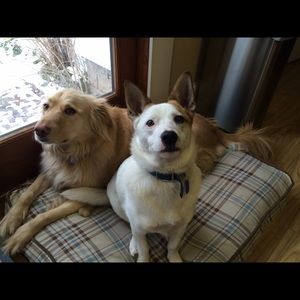 Meet your Posher, Cindy