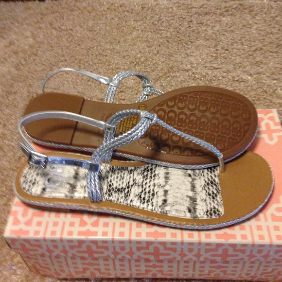 🆕 Shoes - Picture 2 of 2