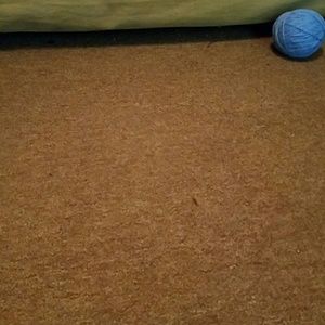 Meet your Posher, Gloria