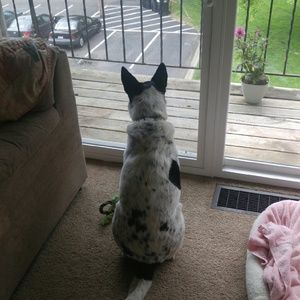 Meet your Posher, Jennifer