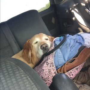 Meet your Posher, Jo