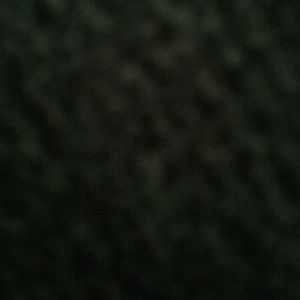 Meet your Posher, Ralph