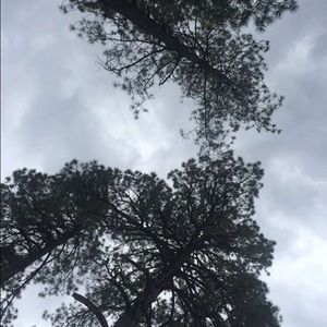 Meet your Posher, Chloe