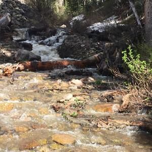 Meet your Posher, Candace