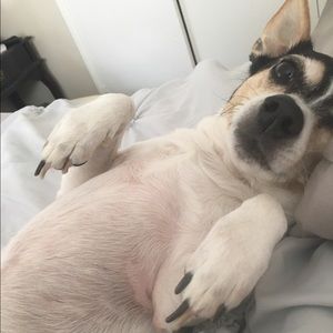 Meet your Posher, Michele