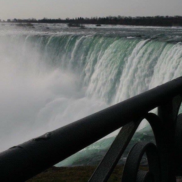 🐝🐝 - Picture 6 of 7