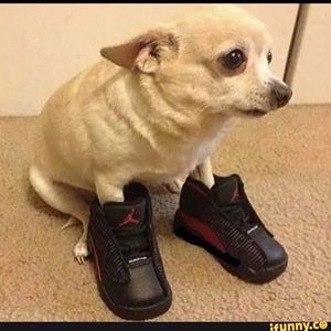 Meet your Posher, Tiffany