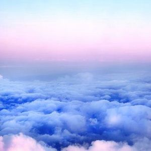 Meet your Posher, Alexa