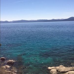 Meet your Posher, Bonnie