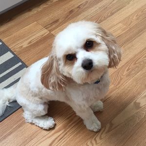 Meet your Posher, Arlene