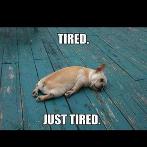 Meet your Posher, Latonya