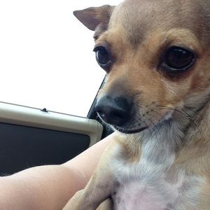 Meet your Posher, Melissa