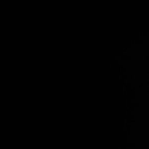 Meet your Posher, Sylvia