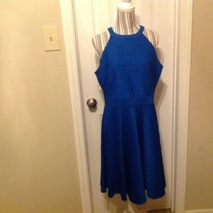 alfani dresses clearance