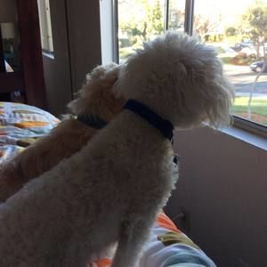 Meet your Posher, Paula