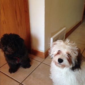 Meet your Posher, Kathryn