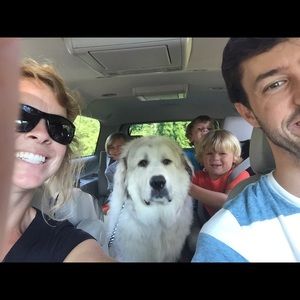 Meet your Posher, Jill